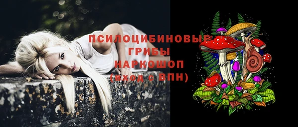 mix Верея